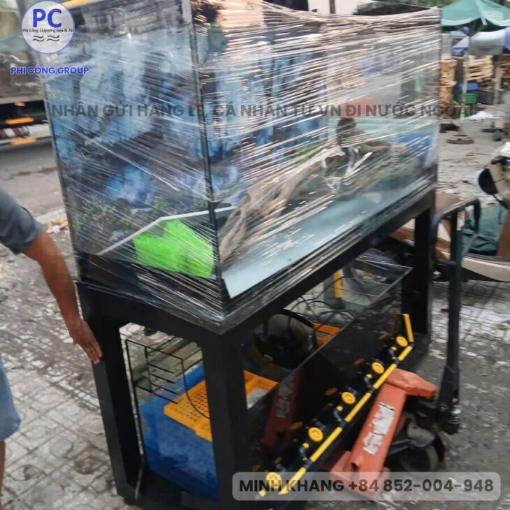 GỬI HỒ CÁ, BỂ CÁ VIẸT NAM SANG MỸ, ÚC