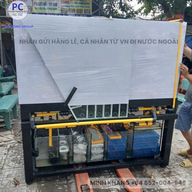 GỬI HỒ CÁ, BỂ CÁ VIẸT NAM SANG MỸ, ÚC