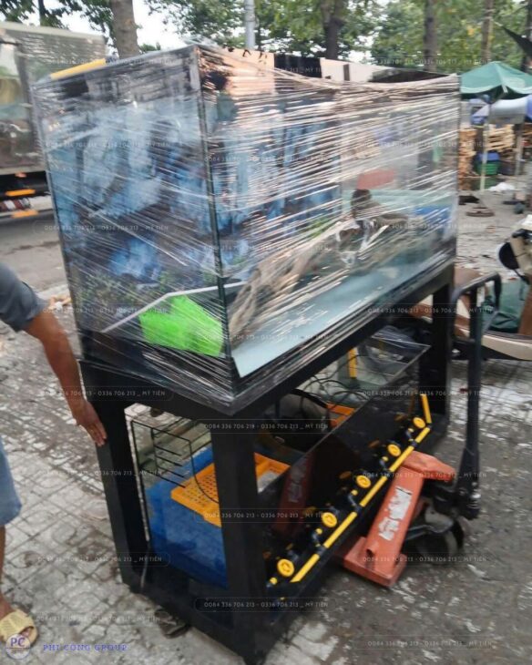 GỬI HỒ CÁ ĐI ÚC BẰNG ĐƯỜNG TÀU BIỂN – GIAO TẬN NHÀ