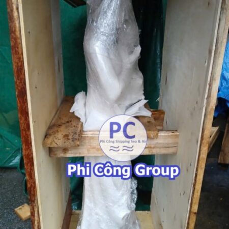 GỬI TƯỢNG ĐI MỸ BẰNG ĐƯỜNG BIỂN