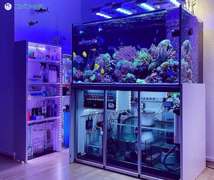 GỬI HỒ CÁ ĐI ÚC BẰNG ĐƯỜNG TÀU BIỂN – GIAO TẬN NHÀ