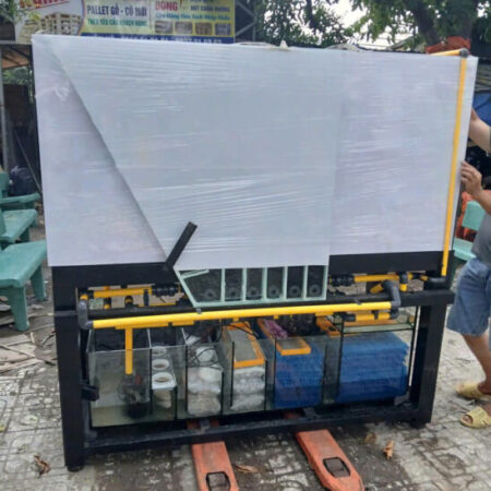 Gửi Hồ cá đi Úc tại Cần Thơ