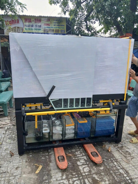 Gửi Hồ cá đi Úc tại Cần Thơ