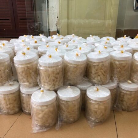 GỬI HÀNG TẾT ĐI MỸ, PHÁP, ÚC, CANADA,… HƠN 200 QUỐC GIA TRÊN THẾ GIỚI