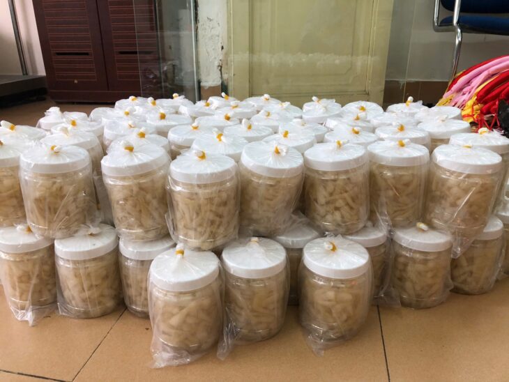 GỬI HÀNG TẾT ĐI MỸ, PHÁP, ÚC, CANADA,… HƠN 200 QUỐC GIA TRÊN THẾ GIỚI