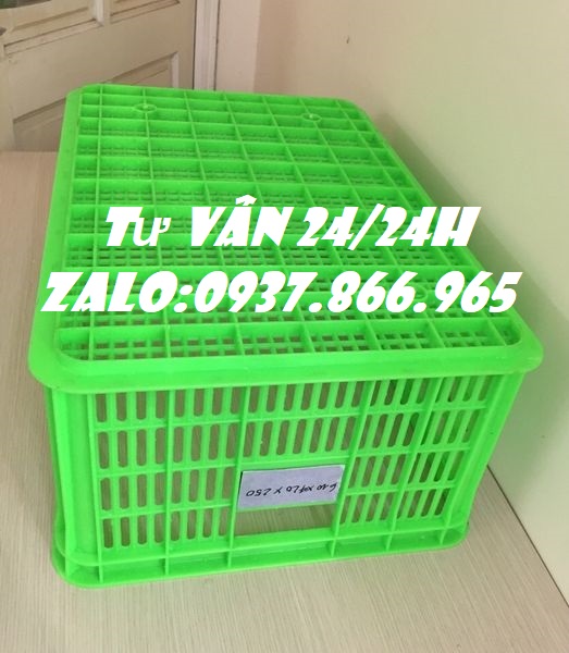 Sọt dung phổ biến kho bãi, sọt nguyên sinh, giá sọt nhựa, bán sọt toàn quốc