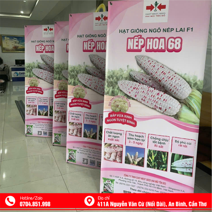 in standee lấy liền tại cần thơ