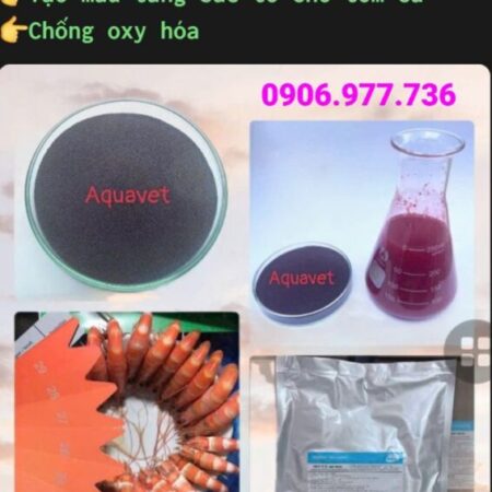 ASTAXANTHIN 10%- TẠO MÀU SẮC CHO TÔM CÁ