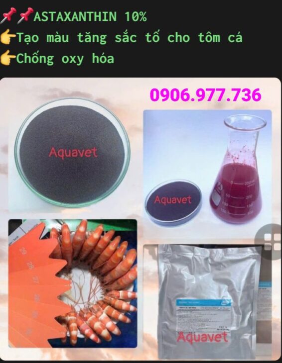 AQUAVET Avatar - Cần Thơ Today
