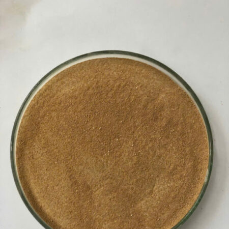 BACILLUS CLAUSII toàn diện các vấn đề về tiêu hóa