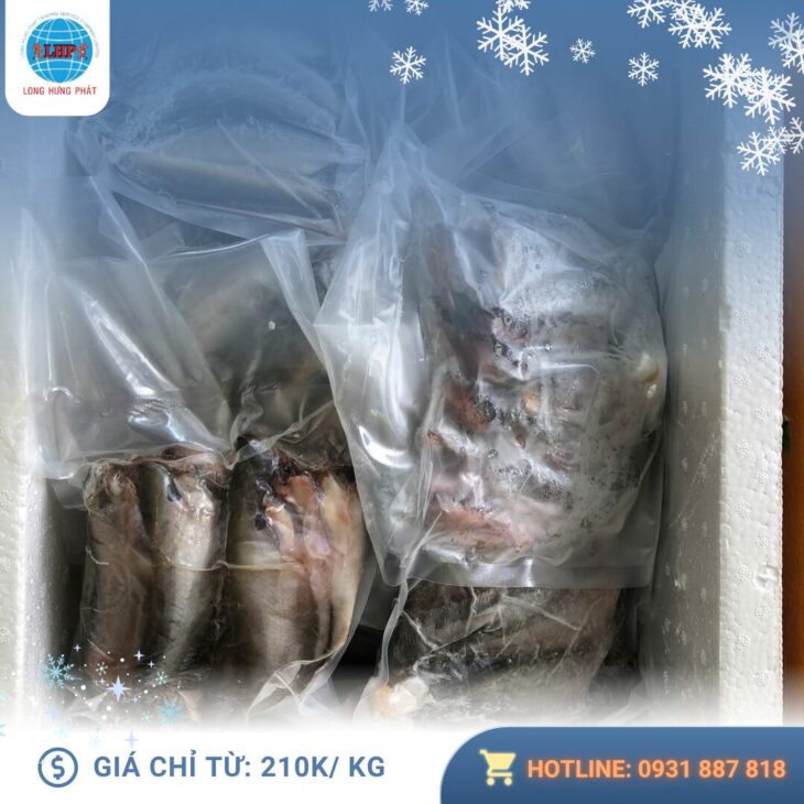 Dịch vụ Gửi hàng đông lạnh đi Úc tại Long Hưng Phát Express