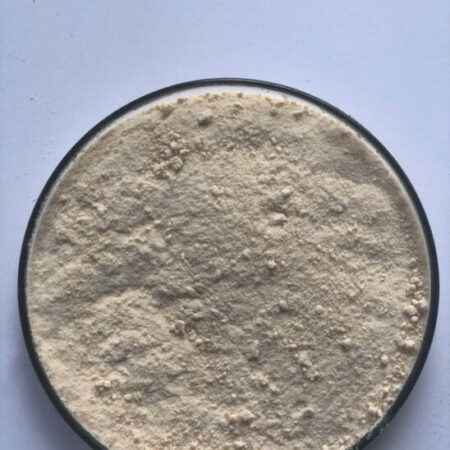 Enzyme đơn dòng Amylase phân giải tinh bột