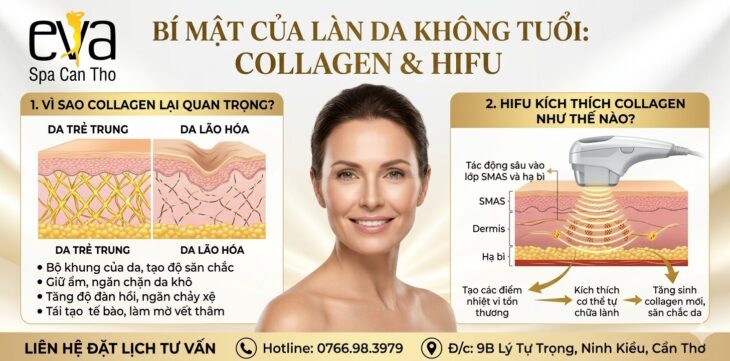 Vì sao collagen lại quan trọng và HIFU kích thích collagen như thế nào? HIFU Eva Spa Cần Thơ
