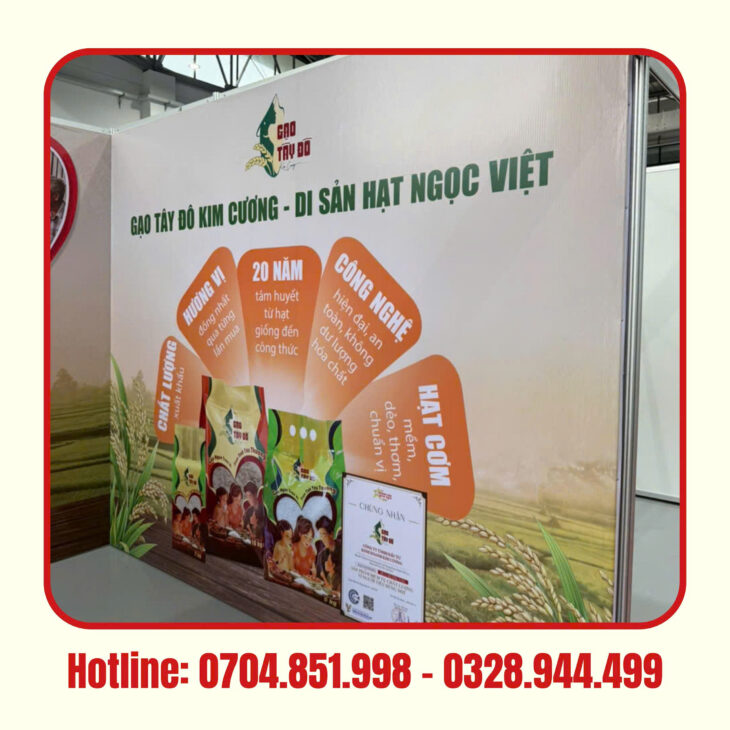 thiết kế in ấn thi công sự kiện
