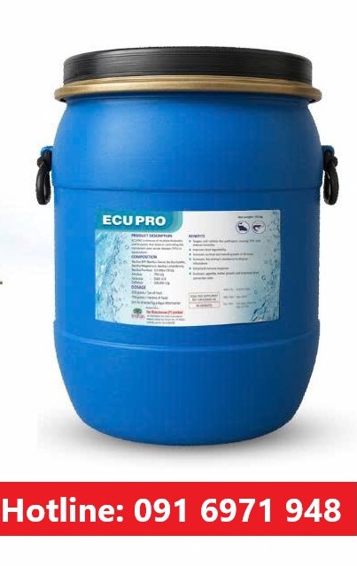 Men tiêu hóa cho tôm cá ECUPRO thùng 25kg hàng Ấn Độ Men tiêu hóa cho tôm cá ECUPRO thùng 25kg hàng Ấn Độ