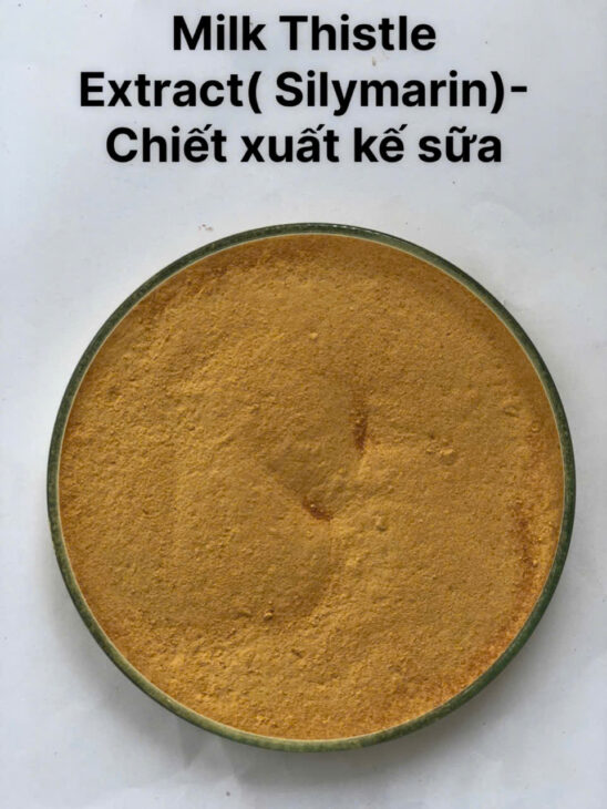 Thảo dược Silymarin Chiết xuất kế sữa