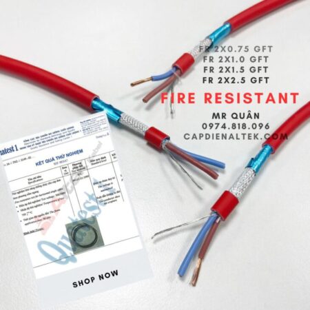 Cáp chống cháy chống nhiễu 2×0.75 FR2075GFT