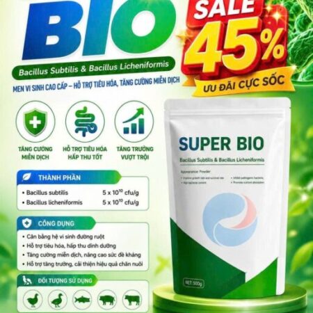 Men vi sinh bacillus giảm giá 45%