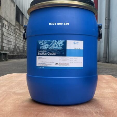 BACILLUS CLAUSII – RUỘT KHỎE, AO ỔN ĐỊNH