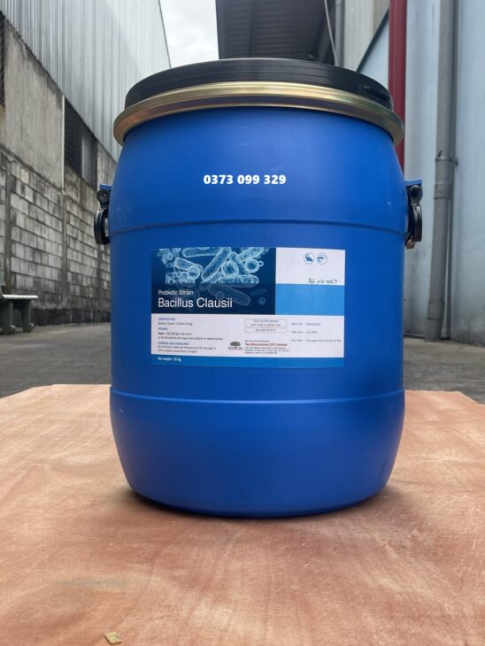 BACILLUS CLAUSII – RUỘT KHỎE, AO ỔN ĐỊNH