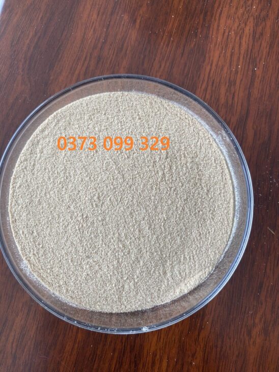 YEAST CELL WALL – TĂNG CƯỜNG MIỄN DỊCH TỰ NHIÊN