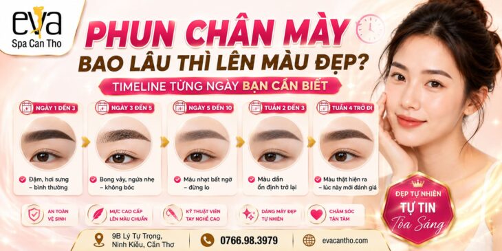 Phun Chân Mày Bao Lâu Thì Lên Màu Đẹp? Timeline Từng Ngày Bạn Cần Biết | Eva Spa Cần Thơ