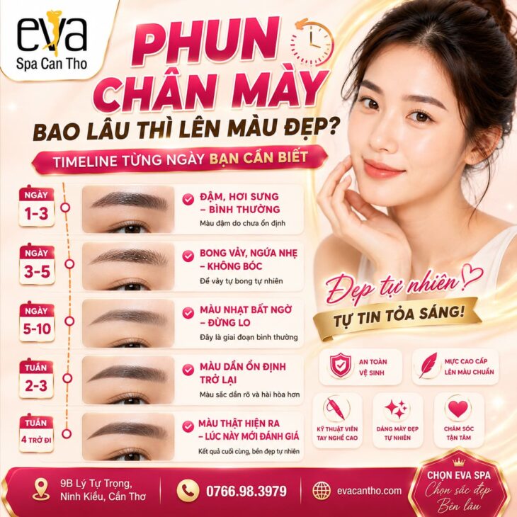 Phun Chân Mày Bao Lâu Thì Lên Màu Đẹp? Timeline Từng Ngày Bạn Cần Biết | Eva Spa Cần Thơ