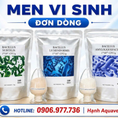 Bộ 3 men vi sinh đơn dòng, ép khuẩn hại tăng tỉ lệ sống sót