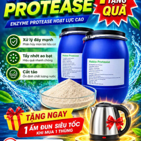 Enzyme cắt tảo, tẩy nhớt, xử lý đáy