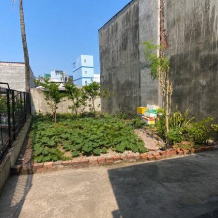 BÁN NHÀ LƯƠNG VĂN CAN ĐẤT LỚN 174M² Q.8 – HẺM XE TẢI 8M – SỔ VUÔNG A4- NHĨNH 11 tỷ