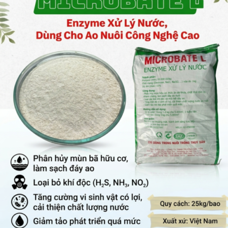 Microbate L – giải pháp enzyme chuyên xử lý nước, làm sạch ao nuôi nhanh chóng và an toàn.
