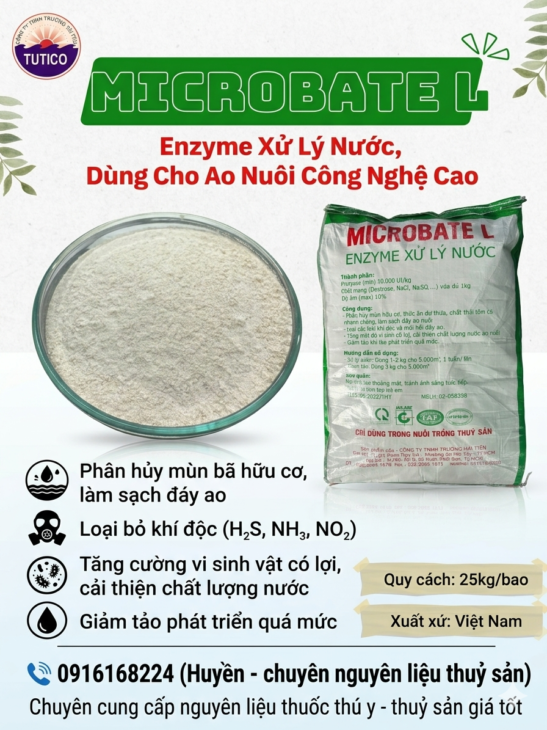 Microbate L – giải pháp enzyme chuyên xử lý nước, làm sạch ao nuôi nhanh chóng và an toàn.