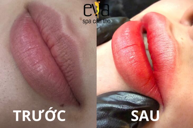 Phun Môi Bao Lâu Thì Phai? Và Khi Nào Nên Phun Lại Để Màu Luôn Đẹp? Eva Spa Cần Thơ