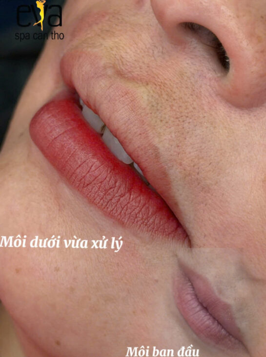 Phun Môi Bao Lâu Thì Phai? Và Khi Nào Nên Phun Lại Để Màu Luôn Đẹp? Eva Spa Cần Thơ