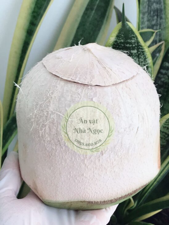 Rau câu dừa, bánh flan, sữa chua (yaourt) – Ăn Vặt Nhà Ngọc Cần Thơ – Nhận đặt đám tiệc