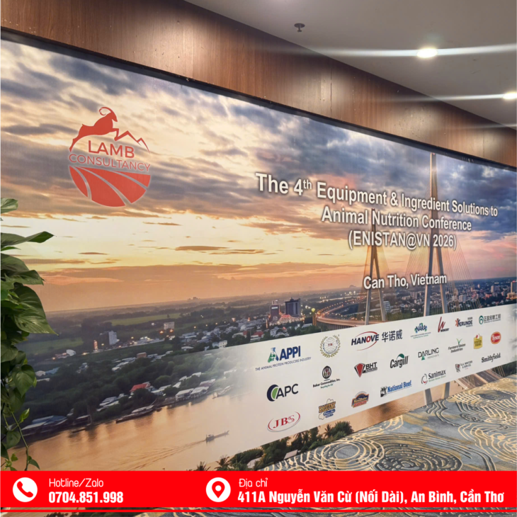 THI CÔNG BACKDROP TRỌN GÓI CẦN THƠ