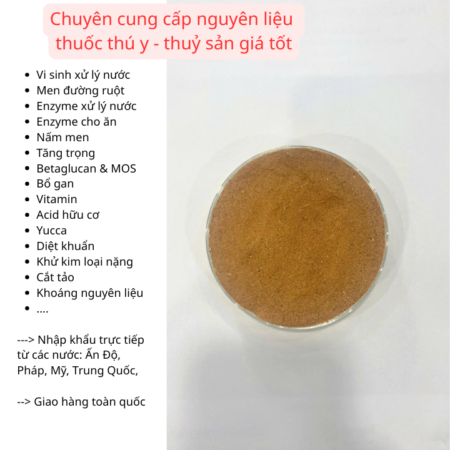 CAROB FEED – GIẢI PHÁP HỖ TRỢ ĐƯỜNG RUỘT & KÍCH ĂN CHO TÔM